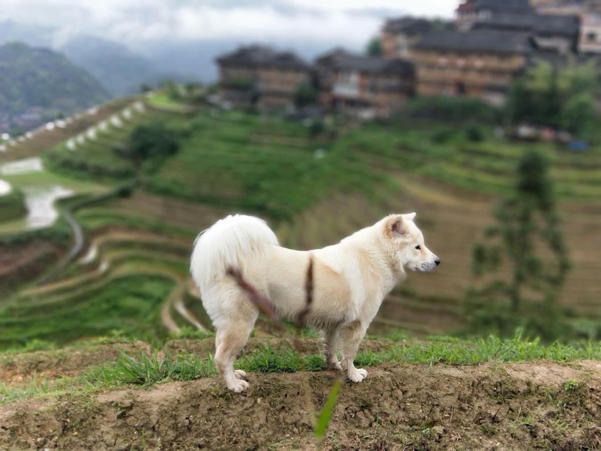 Dragon'S Den Hostel Longsheng Eksteriør billede